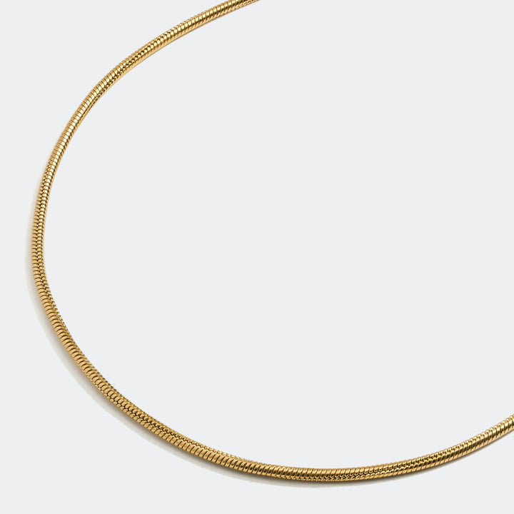 Snake Chain Necklace