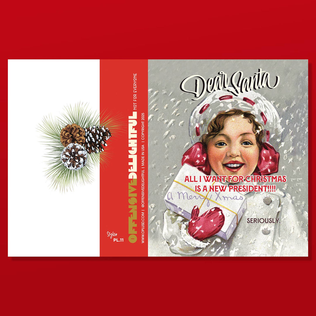 New President! Christmas, Holiday, Political Card