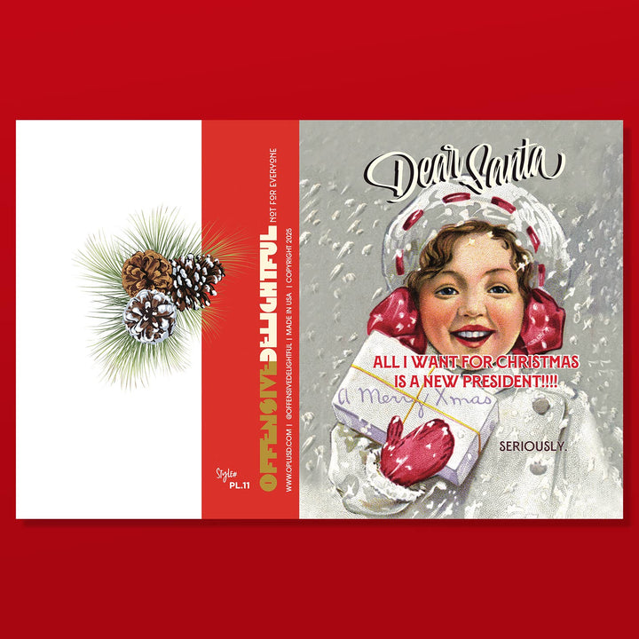 New President! Christmas, Holiday, Political Card