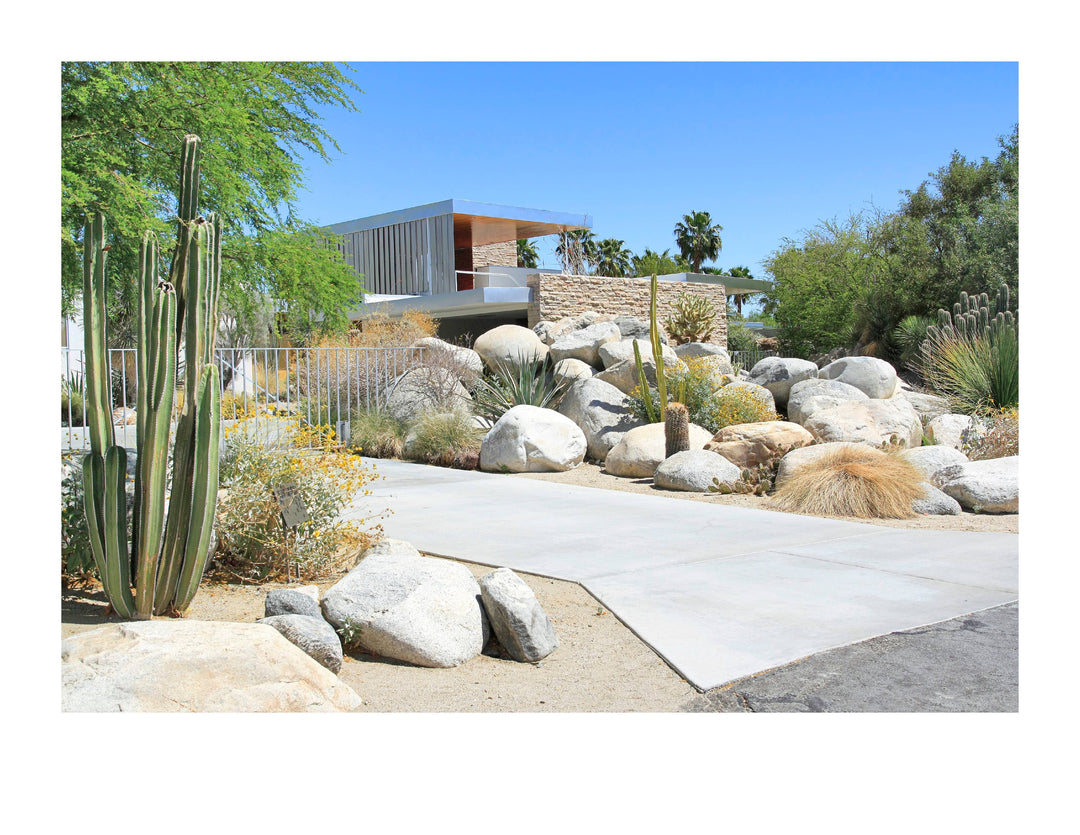 Palm Springs Mid-century Modern