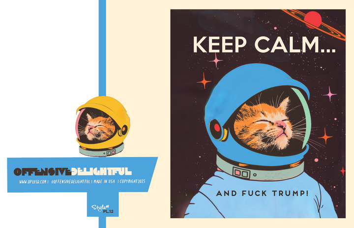 KEEP CALM SPACE CAT political greeting card