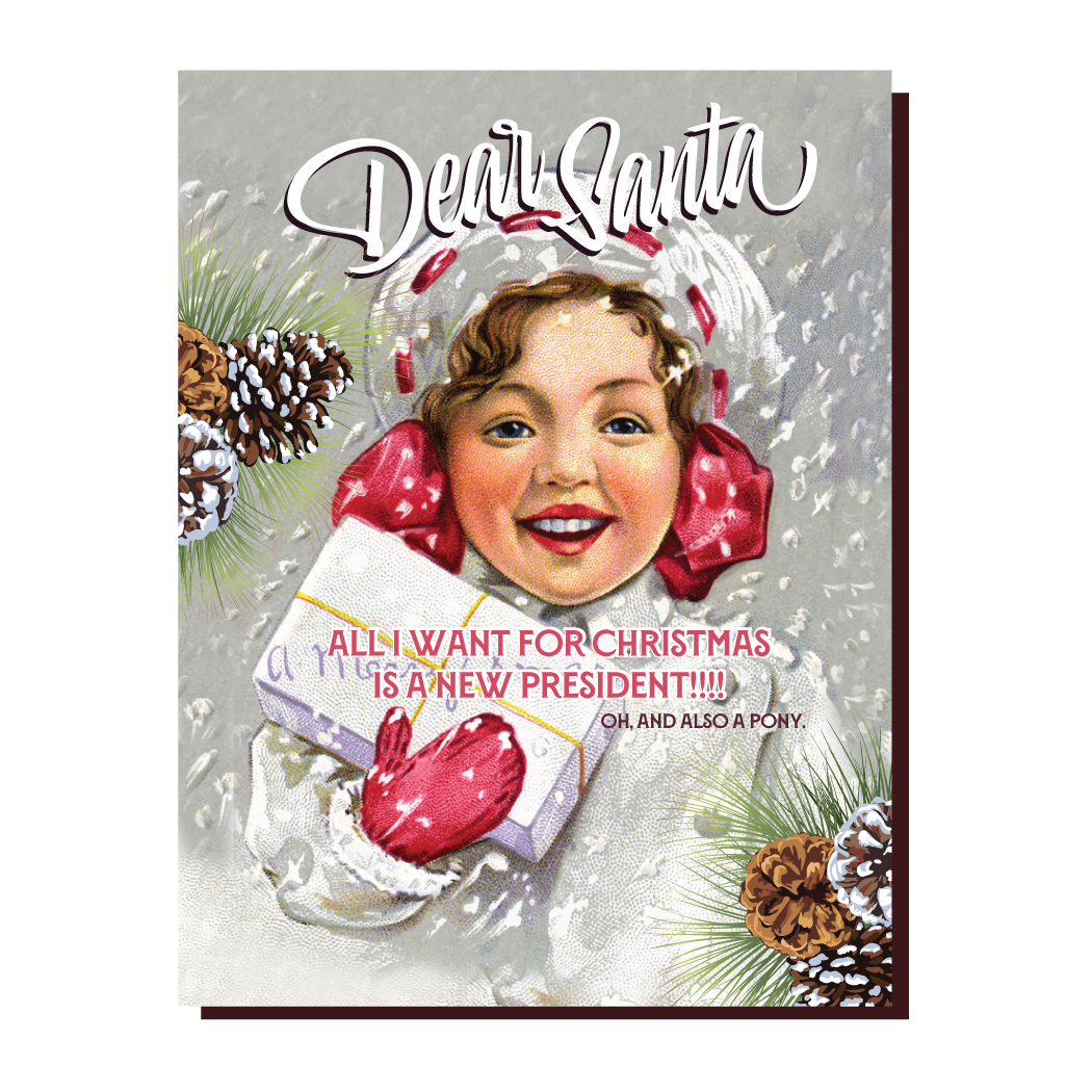 New President! Christmas, Holiday, Political Card