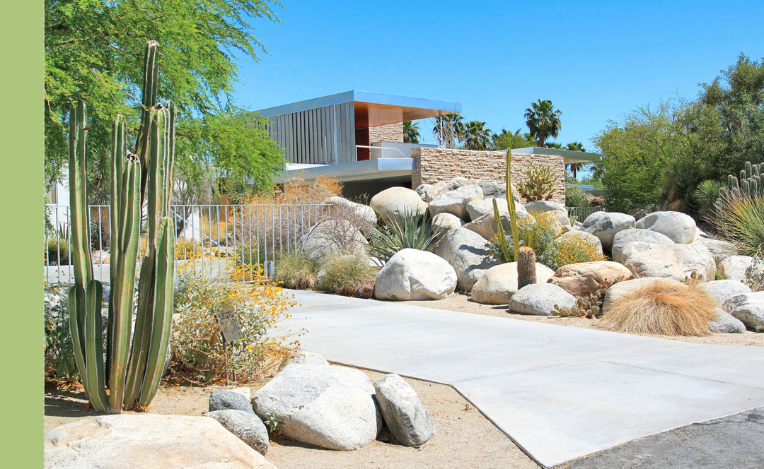 Palm Springs: Mid-Century Modern Postcard Book