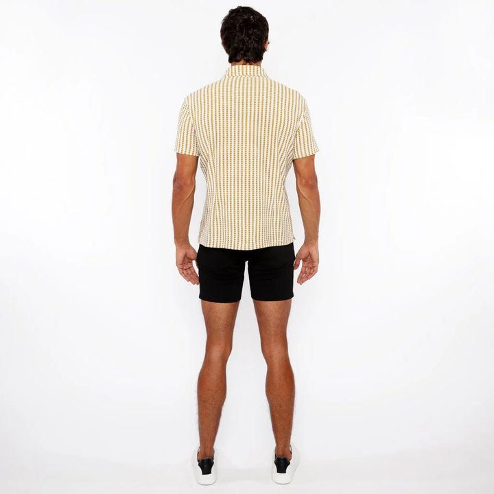 Amber/Ecru Stripe Stretch Open Knit Short Sleeve Shirt St-24062