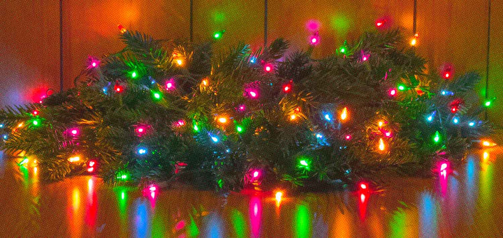 Mini Lites Jeweltone 100 LED Light String