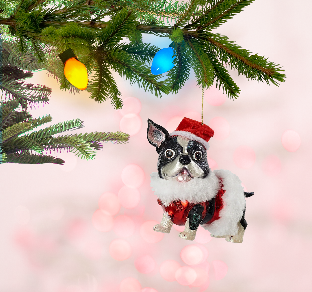 Dog w/Costume Ornament Glass, 4.75in