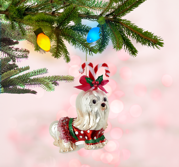 Dog w/Costume Ornament Glass, 4.75in