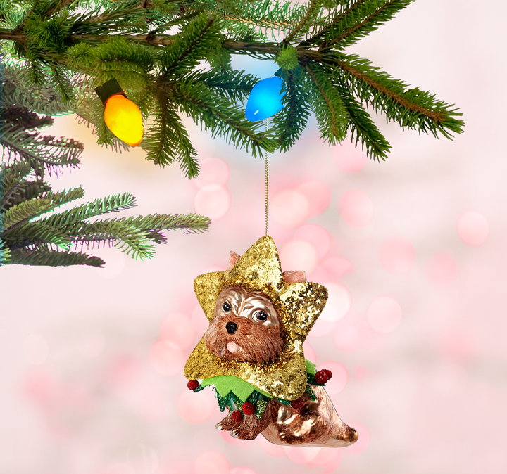 Dog w/Costume Ornament Glass, 4.75in