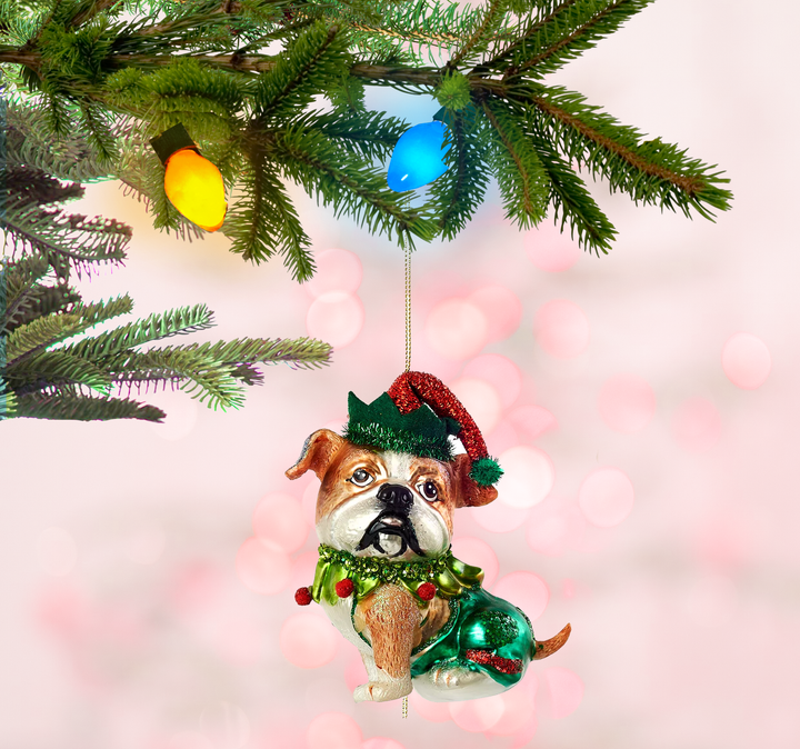 Dog w/Costume Ornament Glass, 4.75in