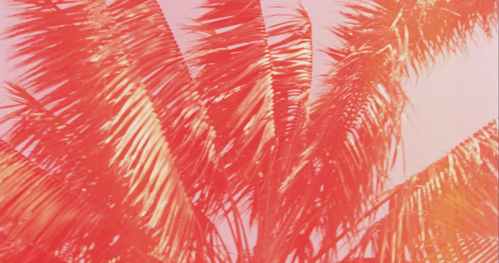 California Summers 9oz Classic Candle