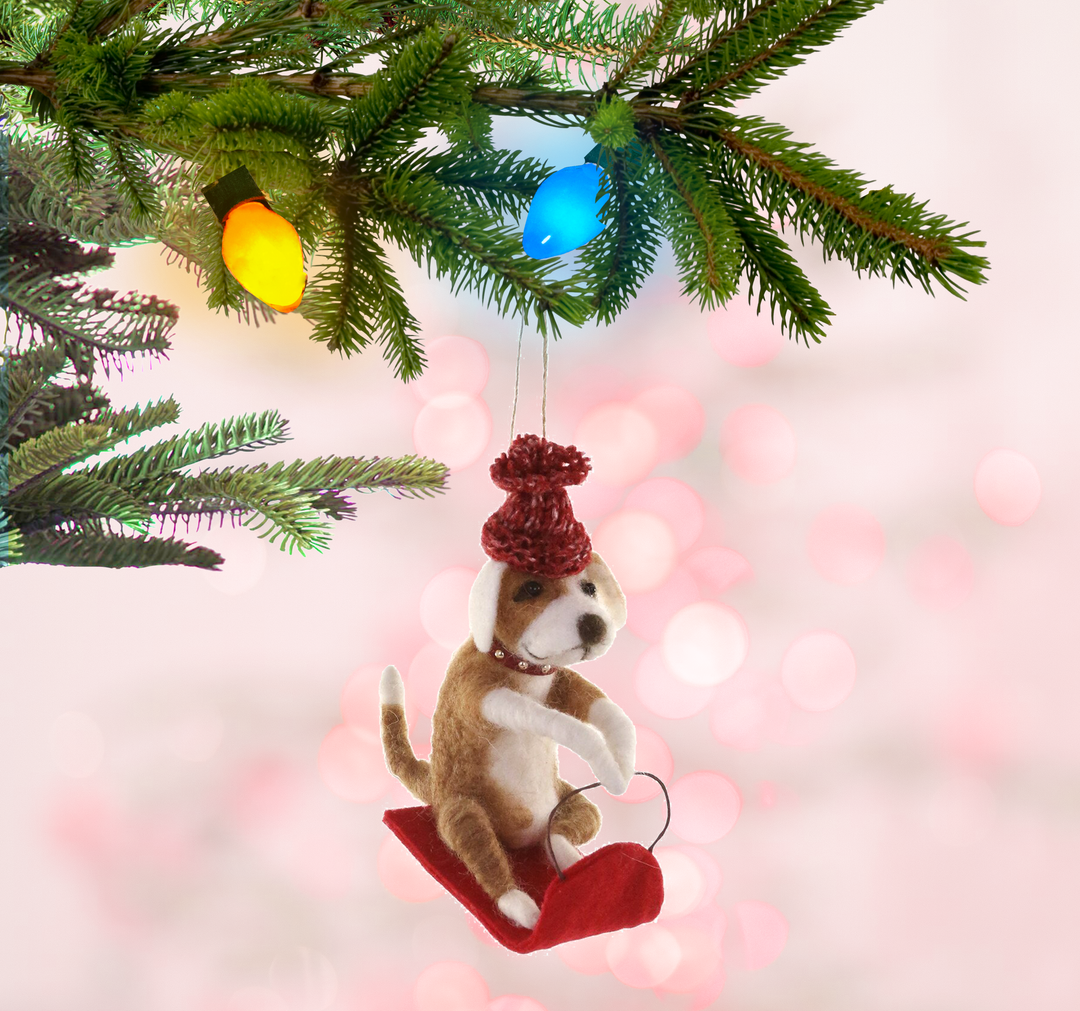 Sledding Dog Ornament