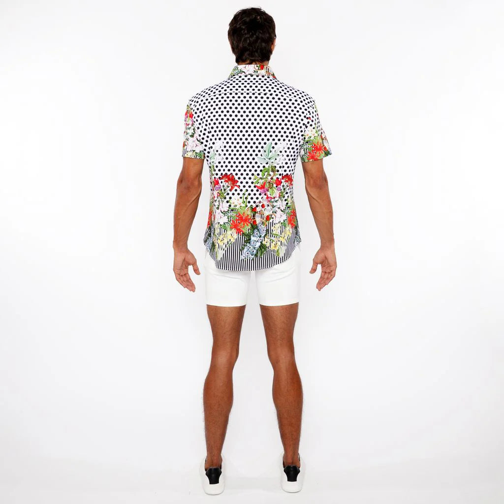 Black/White Dots Border Print Cotton Jersey Knit Short Sleeve Shirt St-9345